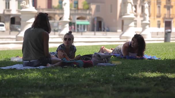 Group of girls at the park — Stock Video