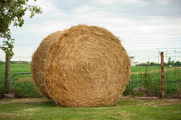 Hay Bale Detail Summertime Afternoon Field — Stock Photo, Image