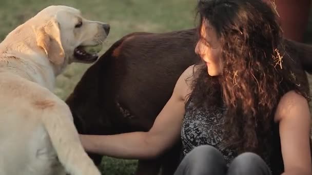 Fille Joue Avec Son Chien Labrador Campagne Été — Video