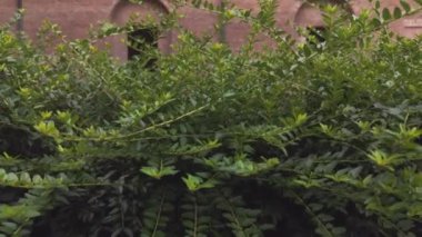 Ferrara 3 'teki Palazzo dei Diamanti' nin iç kısmının ayrıntıları.