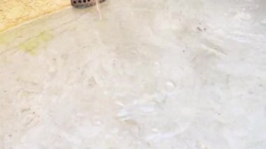 İtalya, Treviso 'da Fontana delle tette