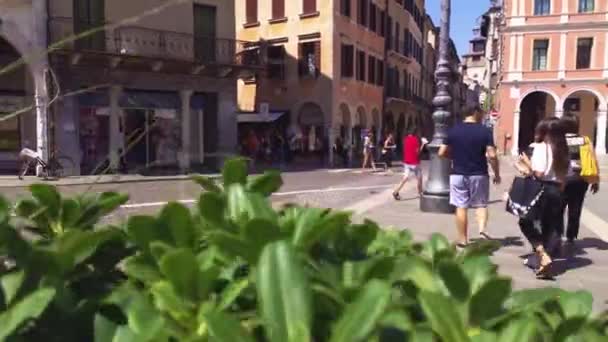 Piazza dei Signori in Treviso in Italy 10 — Stock Video