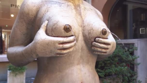 Fontana delle tette in Treviso in Italien 3 — Stockvideo