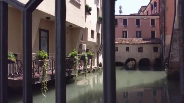 Buranelli canal view in Treviso in Italy — Stock Video