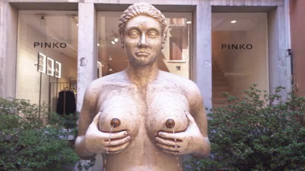 Fontana delle tette in Treviso in Italien 5 — Stockvideo