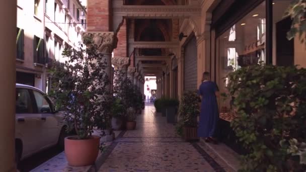 Historiska byggnader med arkader i Treviso 3 — Stockvideo