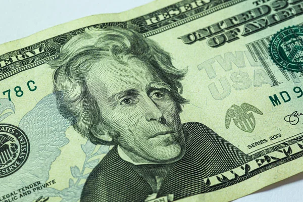 Двадцять Доларів Банкноти Макродеталі Передньої Сторони — стокове фото