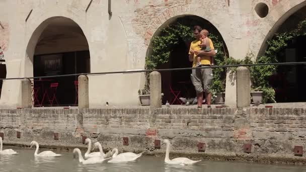 Isola della pescheria in Treviso in Italy with people — Stock Video