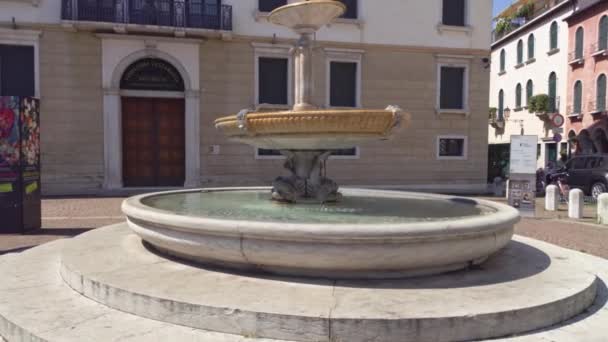 Old marble fountain in Treviso — Stock Video