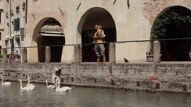 Isola della pescheria en Treviso en Italia con personas 2 — Vídeos de Stock