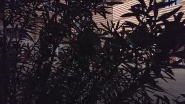 İtalya, Verona 'da merdiveni olan Palazzo della Regione.