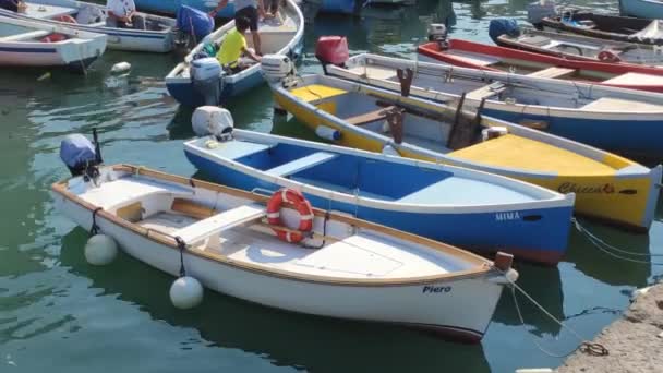 ガルダ湖の色のボート — ストック動画