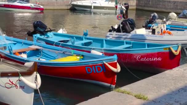 Dogana Veneta and Porticciolo in Lazise, in Italy with colored boats 3 — стоковое видео