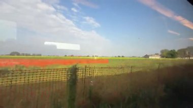 Roma, İtalya 10 Eylül 2025: yeşil tarlalar, ağaçlar ve çiftlik binaları Po Vadisi 'nde hareket halindeki bir trenden görülür, kırsal İtalya' da bir yolculuk hissi yaratır.