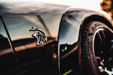 Milan, İtalya 20 Eylül 2025: Sıcak gün batımını yansıtan güçlü bir Amerikan kas arabasının parlak siyah çamurluğunda Cehennem Kedisi ambleminden kaçın.