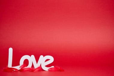 Beyaz aşk işareti ve tüyleri ile kırmızı arka plan