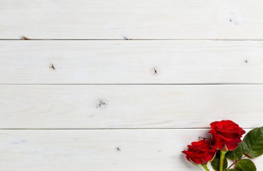 Beyaz ahşap arka plan üzerinde kırmızı gül tomurcuk