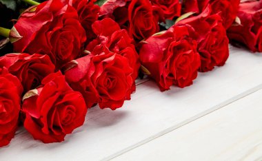 Beyaz ahşap arka plan üzerinde kırmızı gül tomurcukları