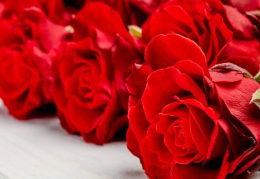 Beyaz ahşap arka plan üzerinde kırmızı gül tomurcukları