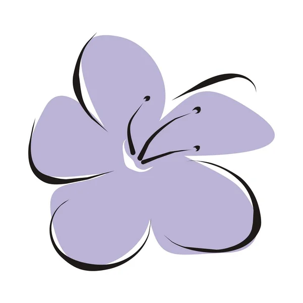 Flor Púrpura Hermosa Dibujada Mano Aislada Sobre Fondo Blanco — Vector de stock