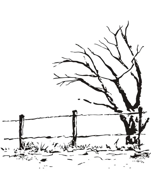 Vektorgrünes Baumschild, Symbol, Aufkleber oder modernes Logo mit Schatten — Stockvektor