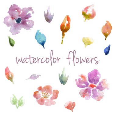 Beyaz arkaplanda izole edilmiş suluboya çiçekleri