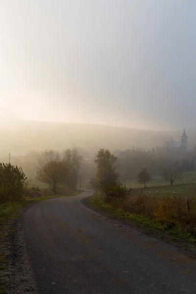 Manière Mystérieuse Paysage Brumeux Avec Brouillard Arbres Champs Village Route — Photo