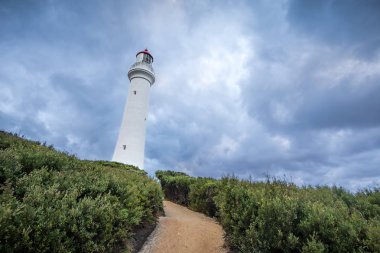Bağlantı noktası peri deniz feneri, Griffiths Adası, Great Ocean Road, Victoria, Avustralya