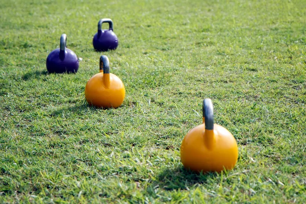 Sportliche Gewichte Auf Grünem Gras Unter Sonnenlicht — Stockfoto