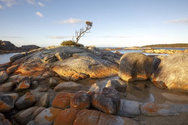 Bay yangınlar, Binalong koyu kırmızı kayalar gün batımında, Avusturalya Tazmanya