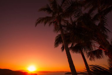 One Tree Hill, Hamilton Island günbatımı. Avustralya