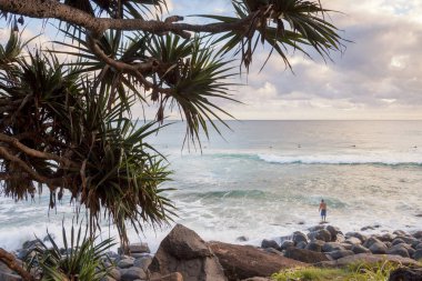 Sandy beach Snapper Rocks, Coolangatta, Avustralya, gökyüzü ve palmiye ağaçlarının altında