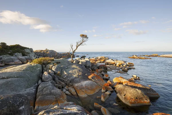 Bay Pożarów Binalong Bay Czerwony Głazy Zachodzie Słońca Australia Tasmania — Zdjęcie stockowe