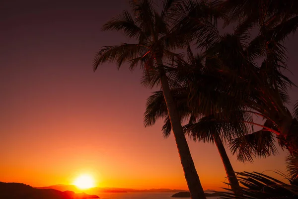 One Tree Hill, Hamilton Island günbatımı. Avustralya