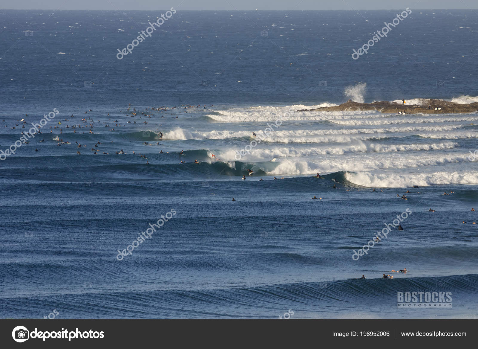 Elephant rock surf club deals