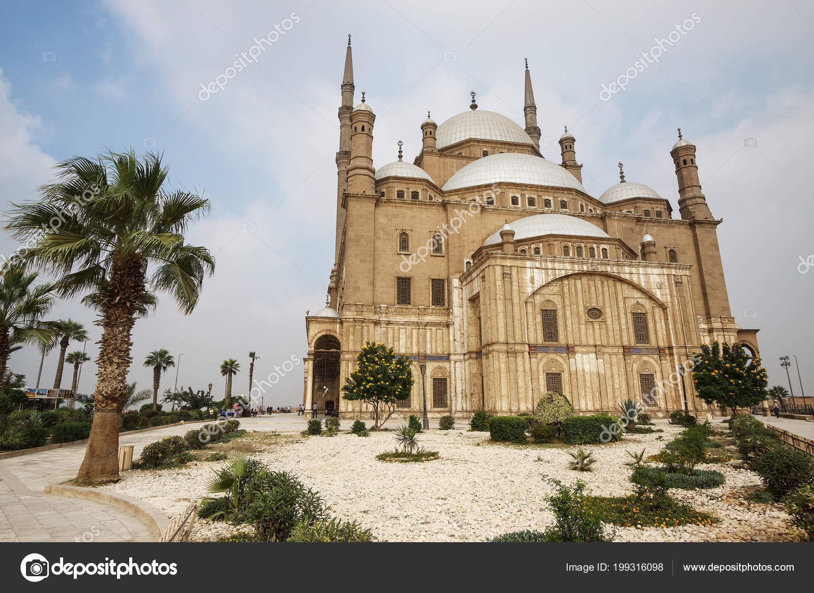 サラディン写真素材 ロイヤリティフリーサラディン画像 Depositphotos サラディン写真素材 ロイヤリティフリーサラディン画像 Depositphotos