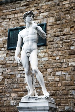 Michelangelo'nun david heykeli önünde palazzo vecchio piazza adlı özgün konumunda duran kopyasını della signoria, florence, İtalya