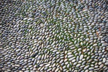 Çakıl taşları katında gündüz, Rhodes, Yunanistan