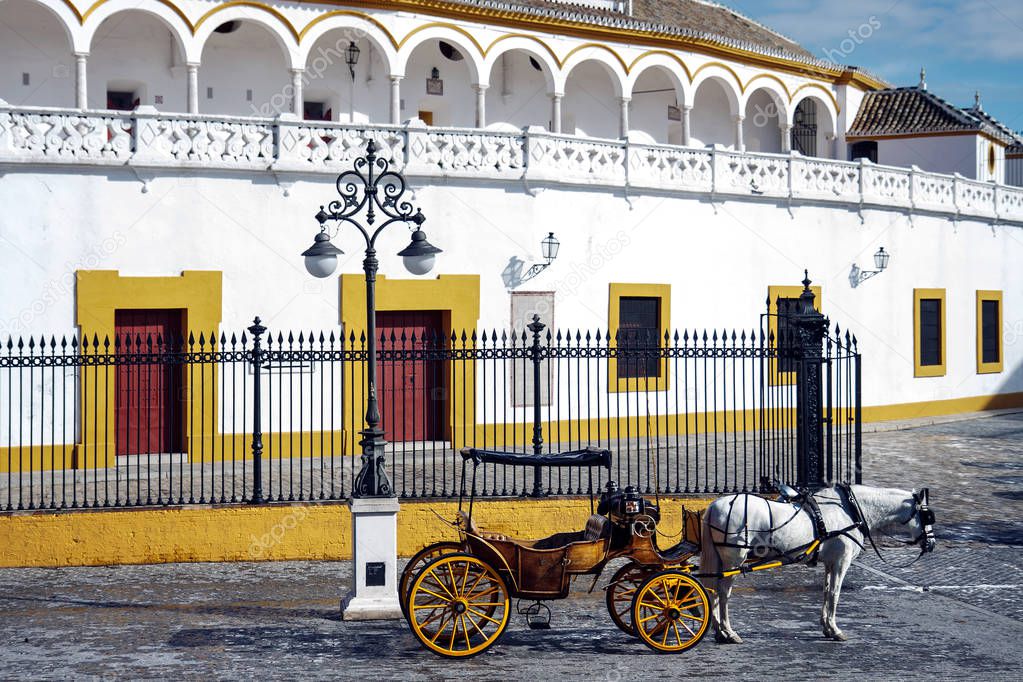 Horse and carriage standing outside the Seville bullring, Seville, Spain