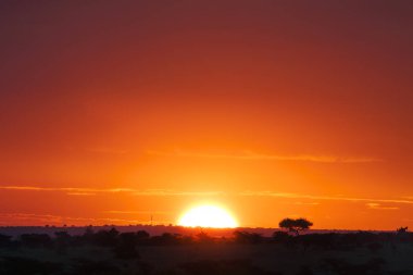 Masai Mara Ulusal Rezerv, Kenya üzerinden günbatımı