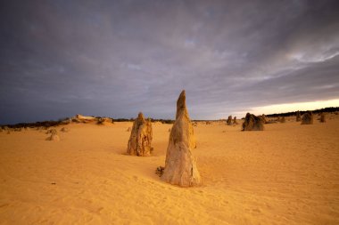 Batı Avustralya'daki Nambung Ulusal Parkı'nda Pinnacles Çölü