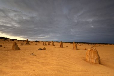 Batı Avustralya'daki Nambung Ulusal Parkı'nda Pinnacles Çölü
