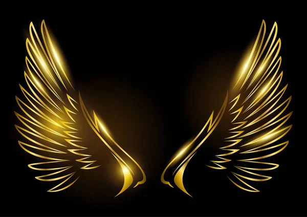 Εικονογράφηση Διάνυσμα Των Χρυσών Φτερών Μαύρο Φόντο — Διανυσματικό Αρχείο