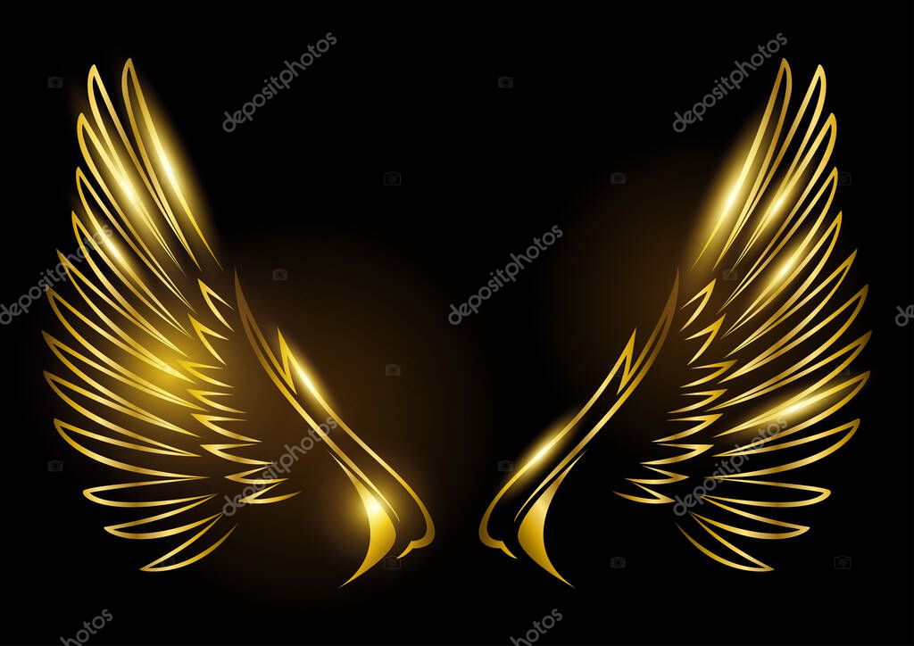 Vector illustration of golden wings on black background