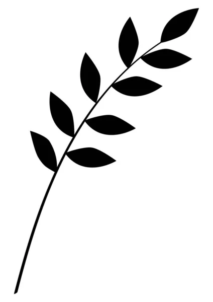 枝叶单色矢量图解 单色平面黑白图解 — 图库矢量图片