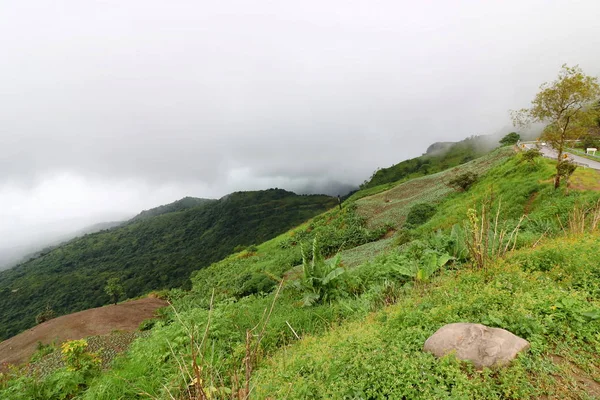 Montaña Verde Tropical Con Niebla Pesada Días Lluviosos — Foto de Stock