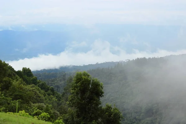 Hermoso Paisaje Natural Niebla Sobre Montaña Verde — Foto de Stock