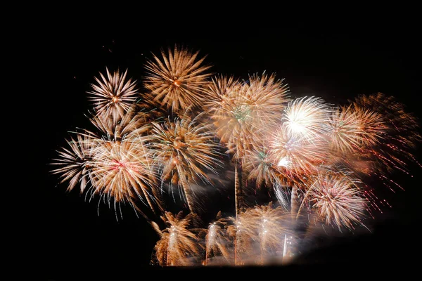 Fuegos Artificiales Coloridos Festivos Fondo Del Cielo Nocturno Fiesta Celebración — Foto de Stock