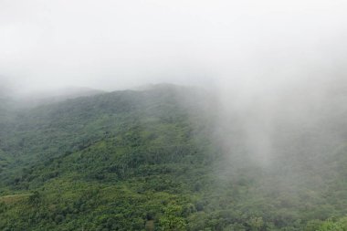 Sis yeşil dağ üzerinde güzel doğal sahne.