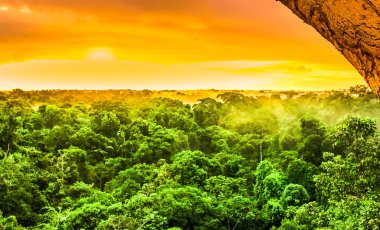 View on sunset over the trees of the rain forest in Brazil clipart